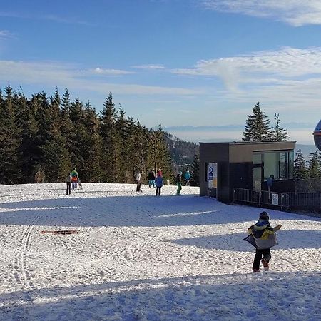 Bdapartmany Lipno nad Vltavou Eksteriør bilde