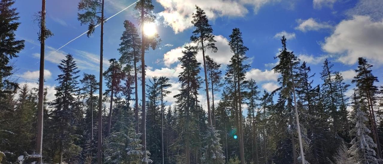 Bdapartmany Lipno nad Vltavou Eksteriør bilde